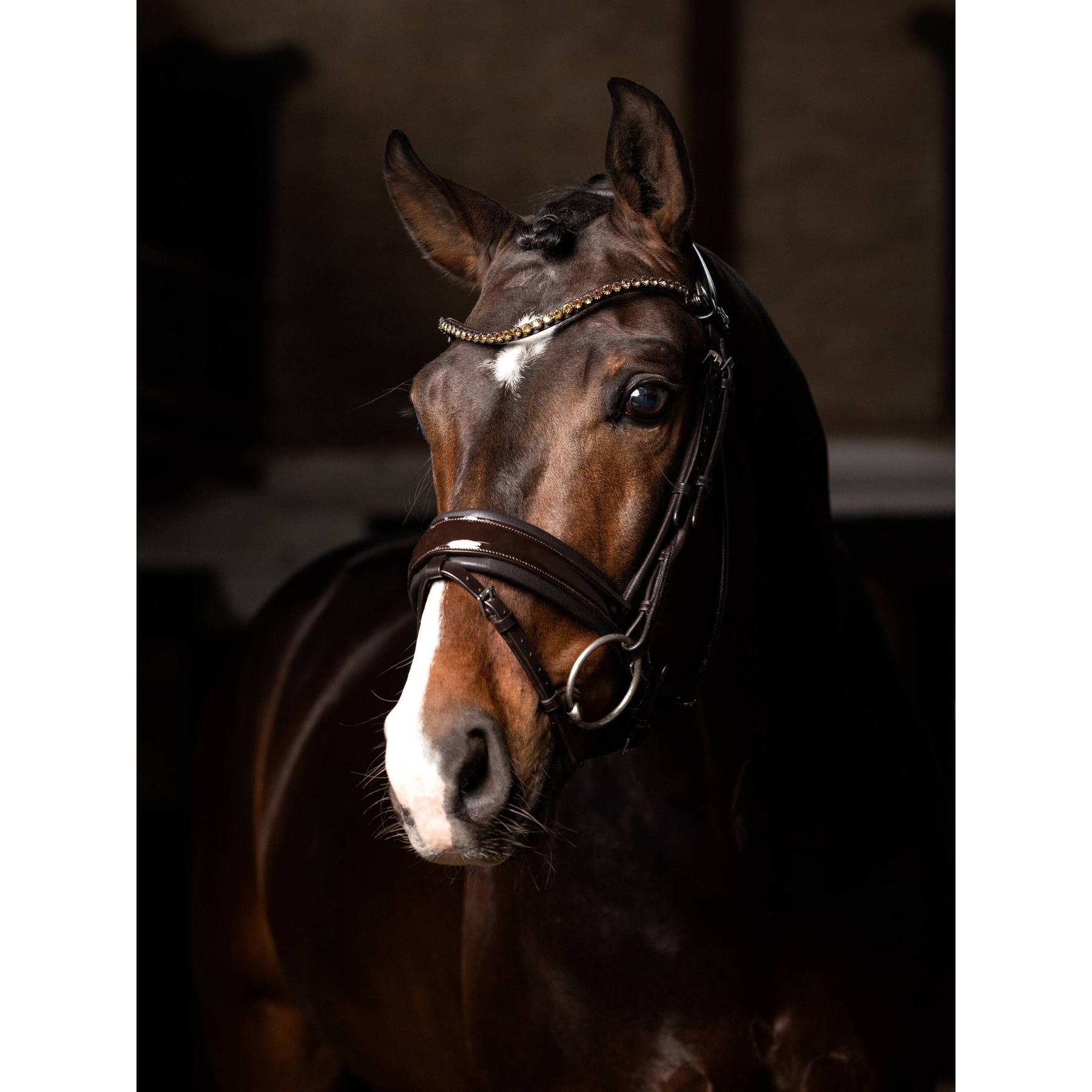 product/l/e/lemieux_it04763007_brown_4.jpg