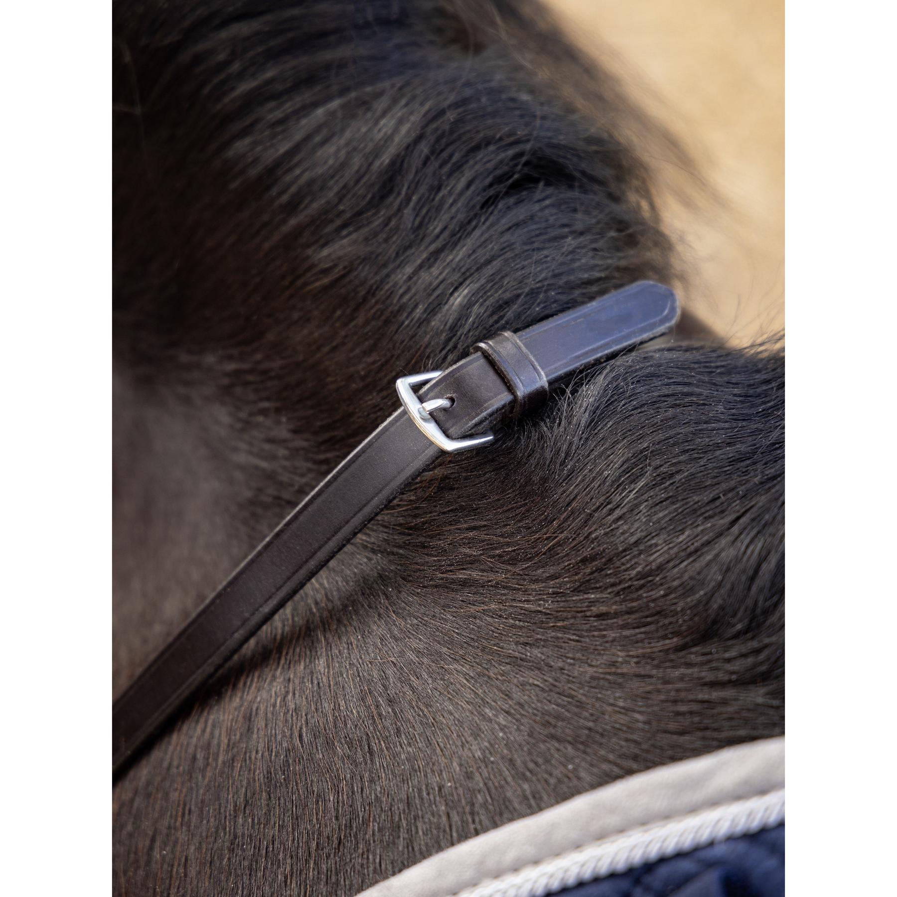 product/l/e/lemieux_it04858007_brown-silver_3.jpg