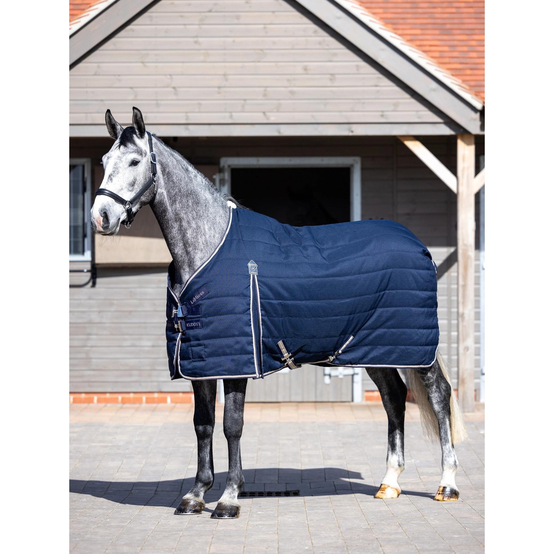 product/l/e/lemieux_it05748025_navy_1.jpg