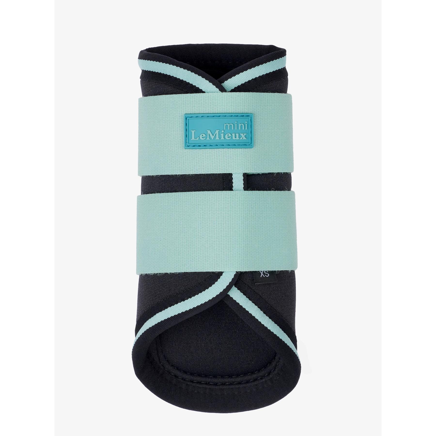 product/l/e/lemieux_it06200122_aqua_3.jpg