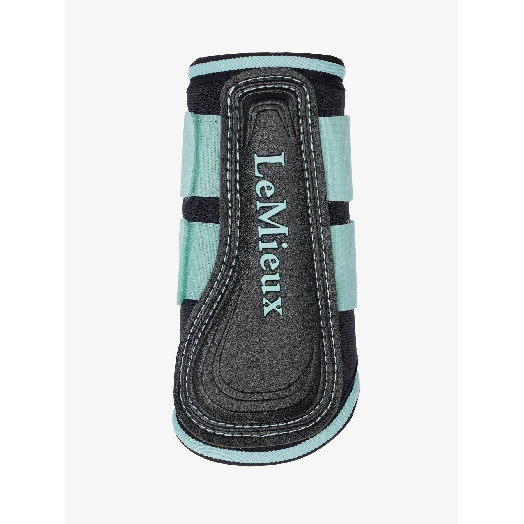 product/l/e/lemieux_it06200122_aqua_4.jpg