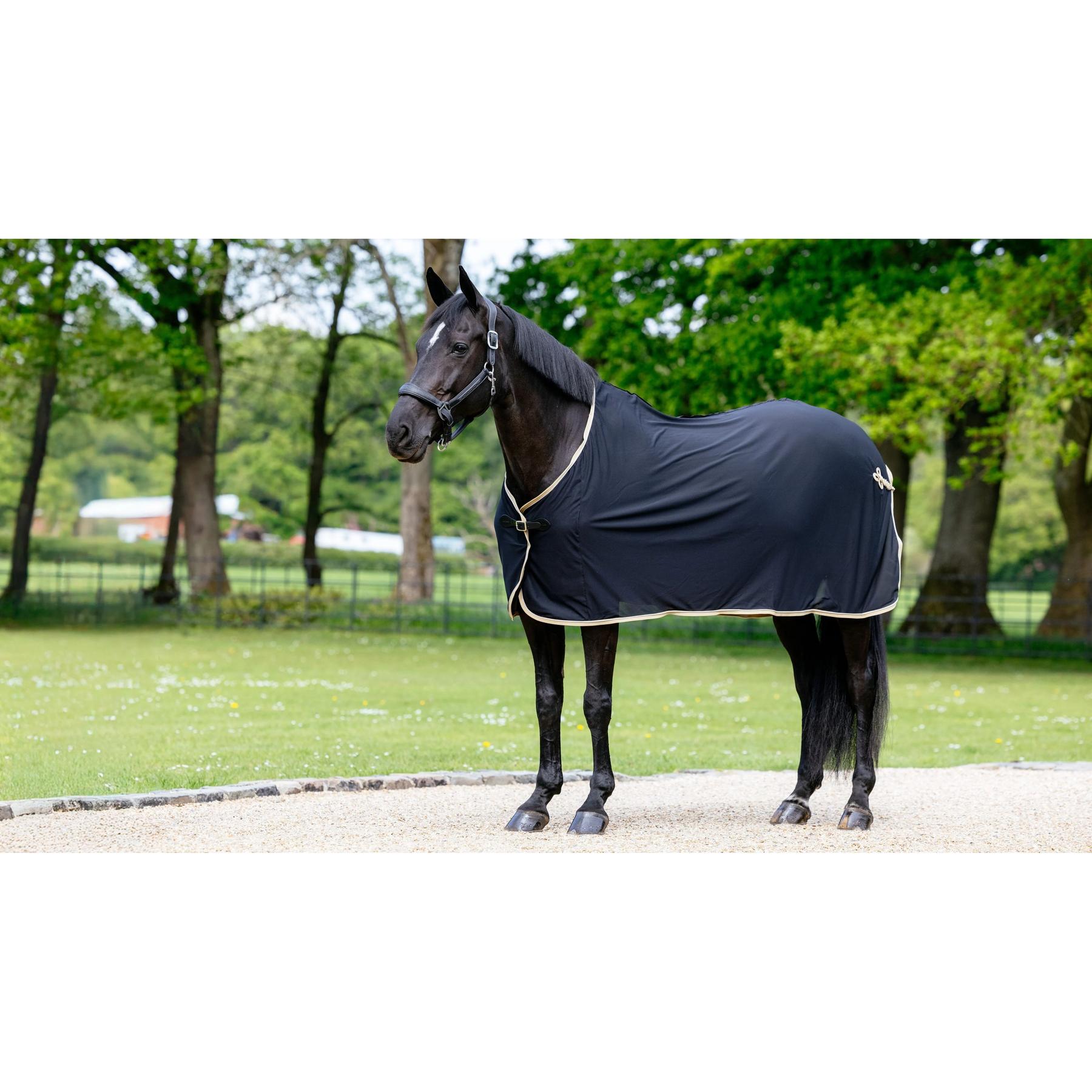 product/l/e/lemieux_it06278025_noir_4.jpg