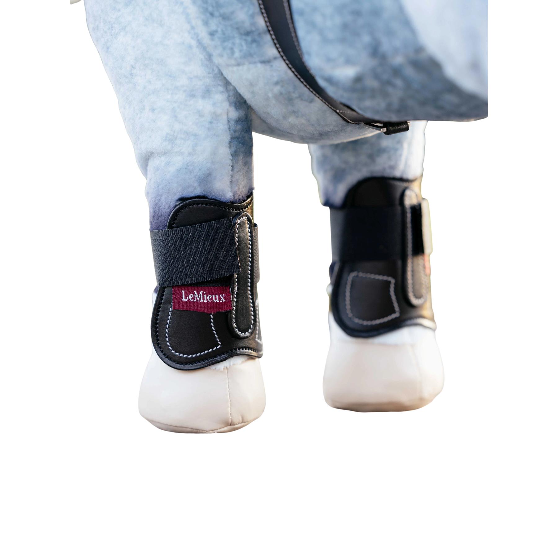 product/l/e/lemieux_it06290001_noir_3.jpg