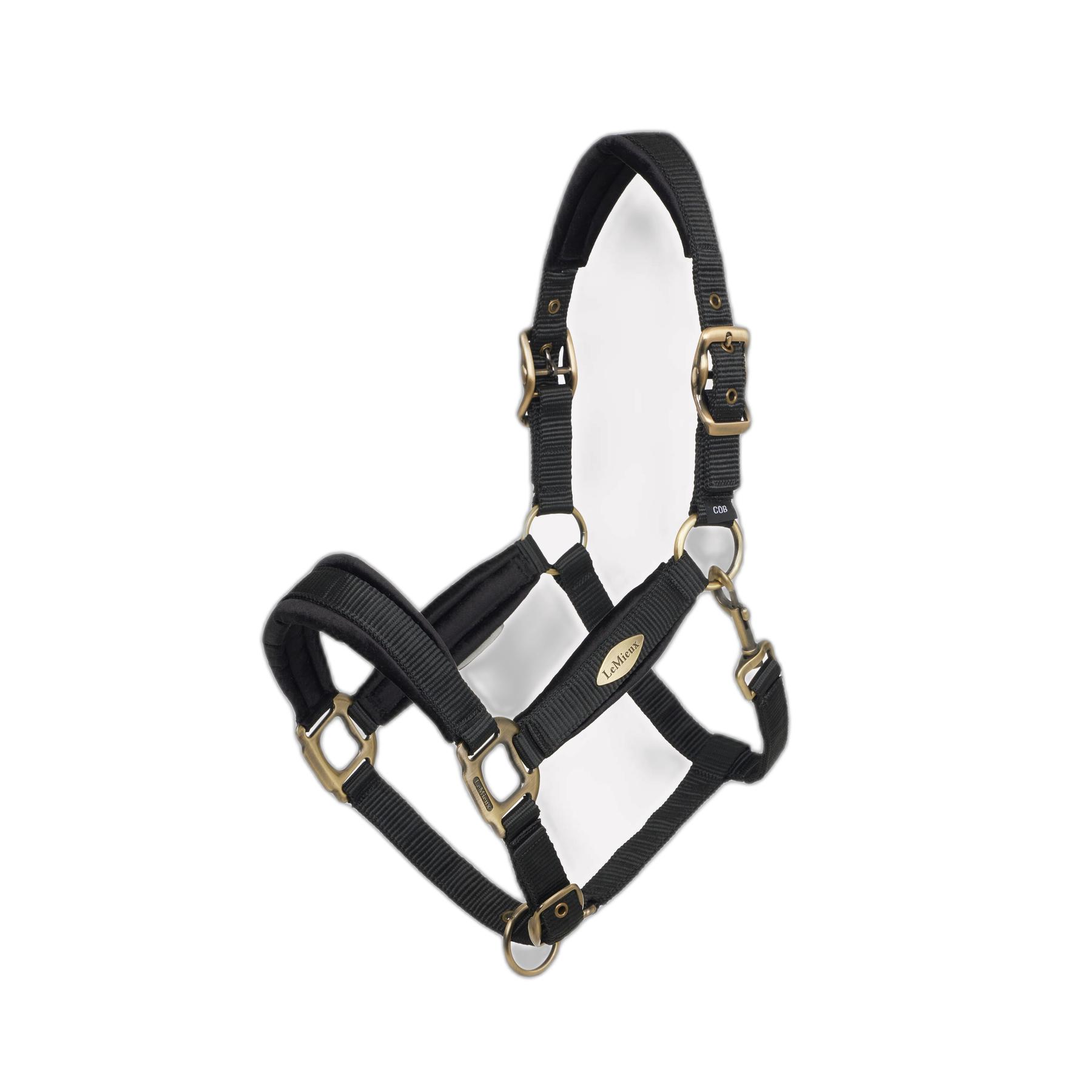 product/l/e/lemieux_it06715007_noir_2.jpg