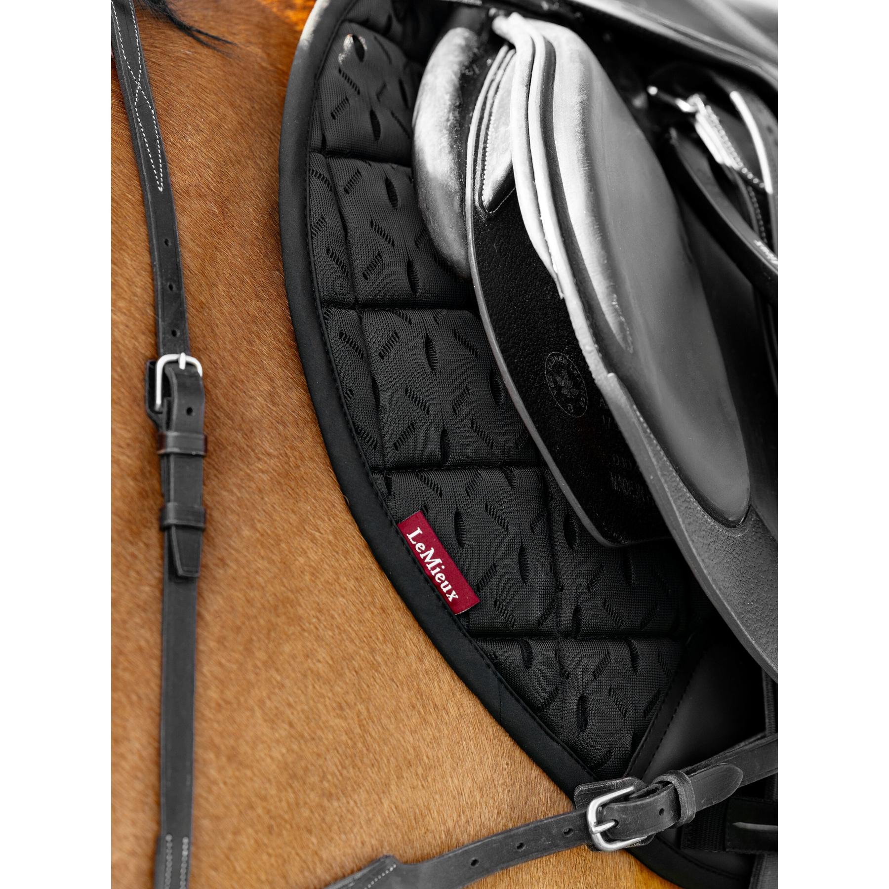 product/l/e/lemieux_it06928005_noir_3.jpg