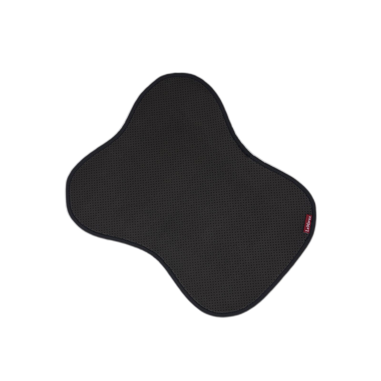 product/l/e/lemieux_it06931005_black_1.jpg