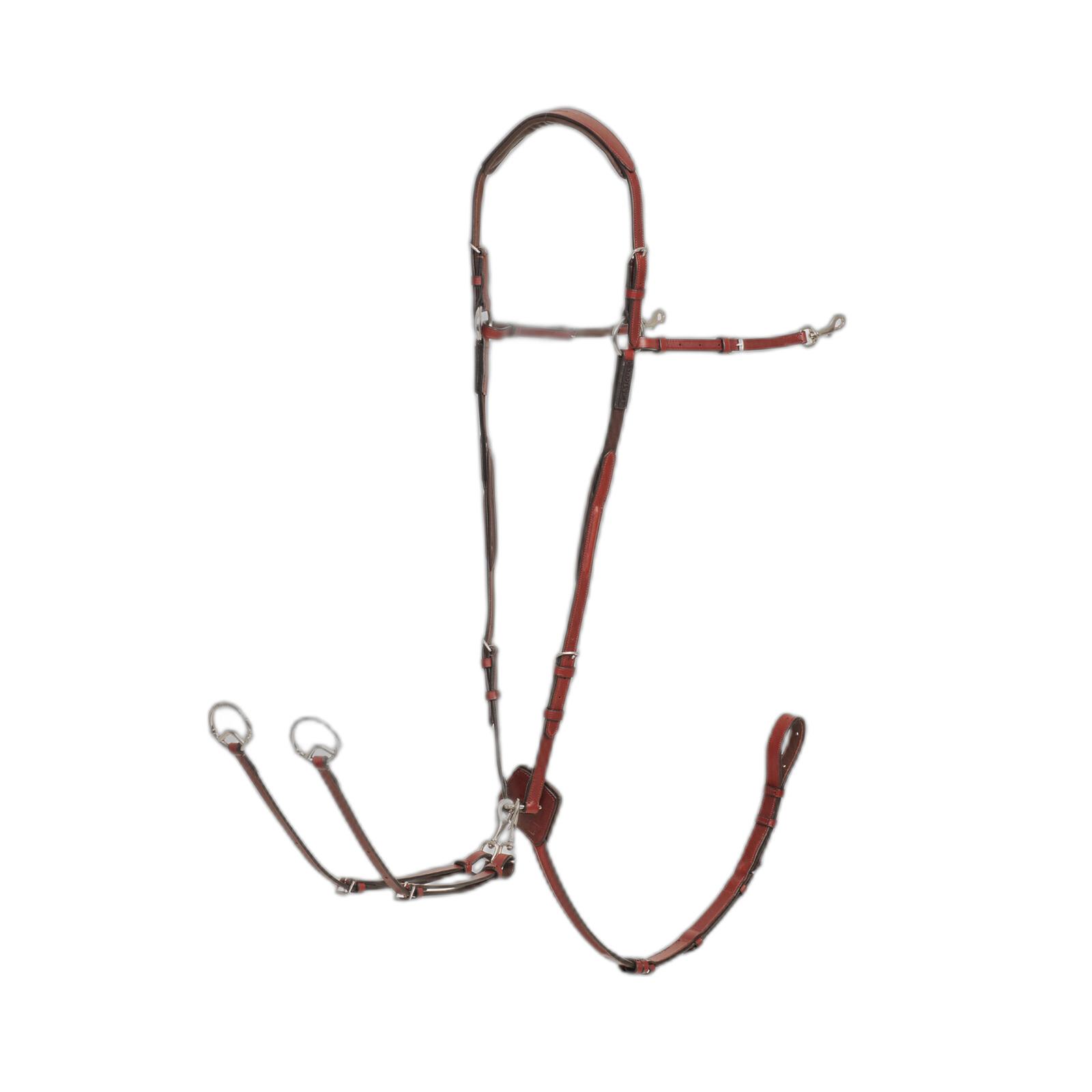 product/l/e/lemieux_it06942007_chestnut_1.jpg