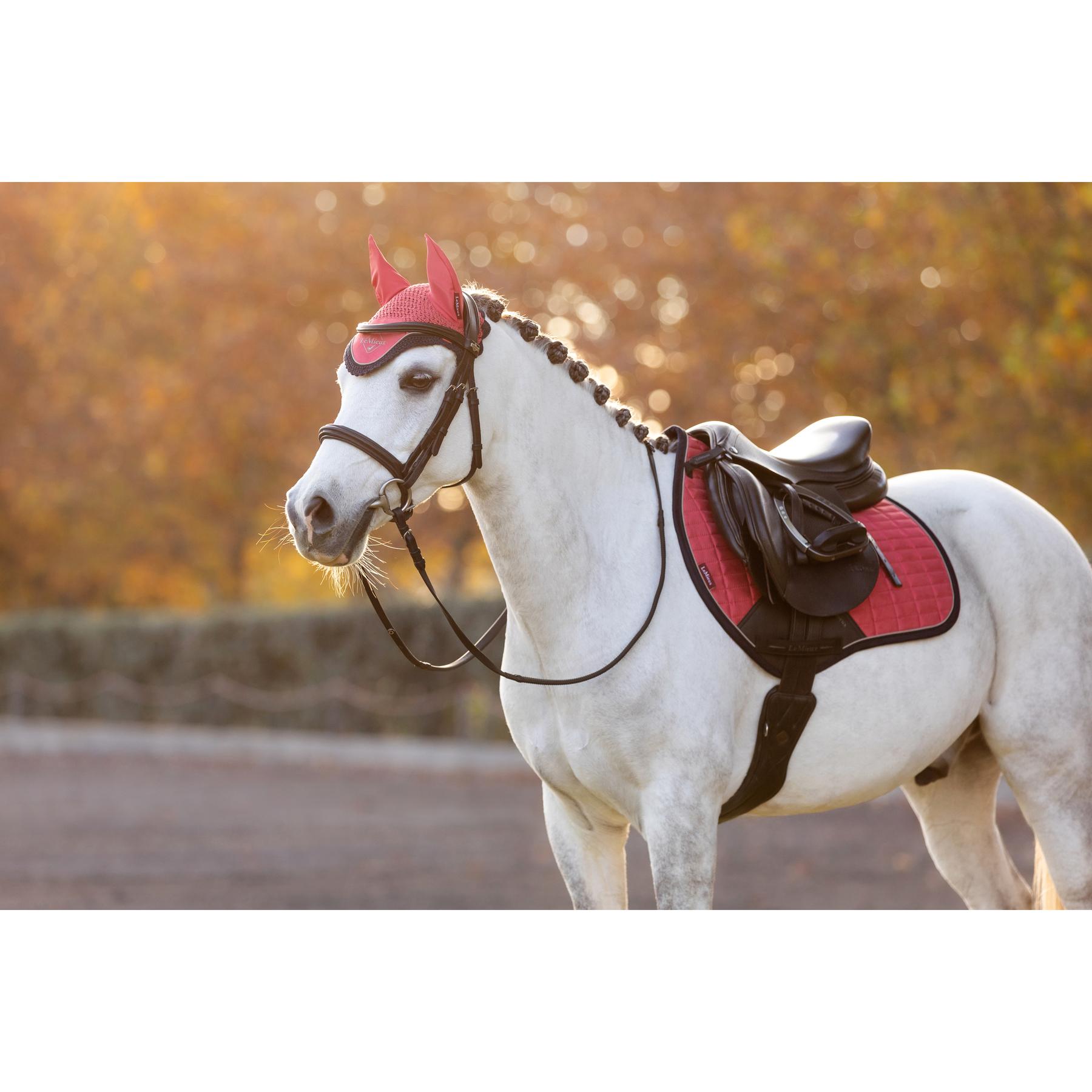 product/l/e/lemieux_it06964_004.jpg
