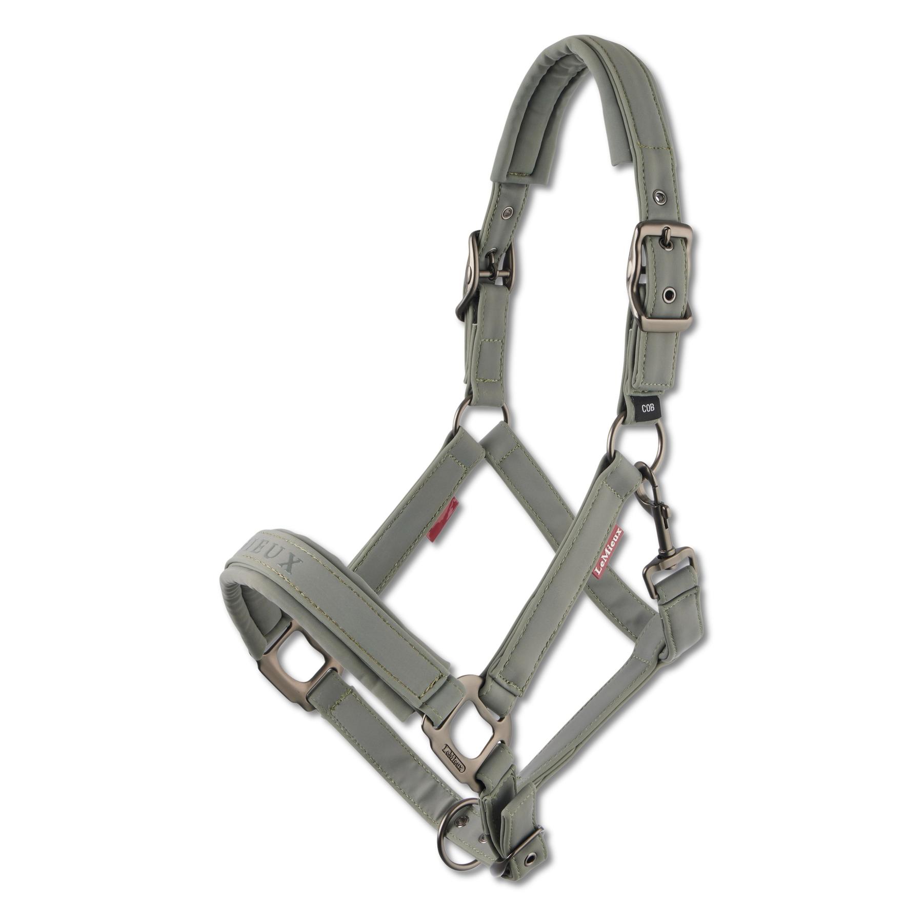 product/l/e/lemieux_it06973_001.jpg