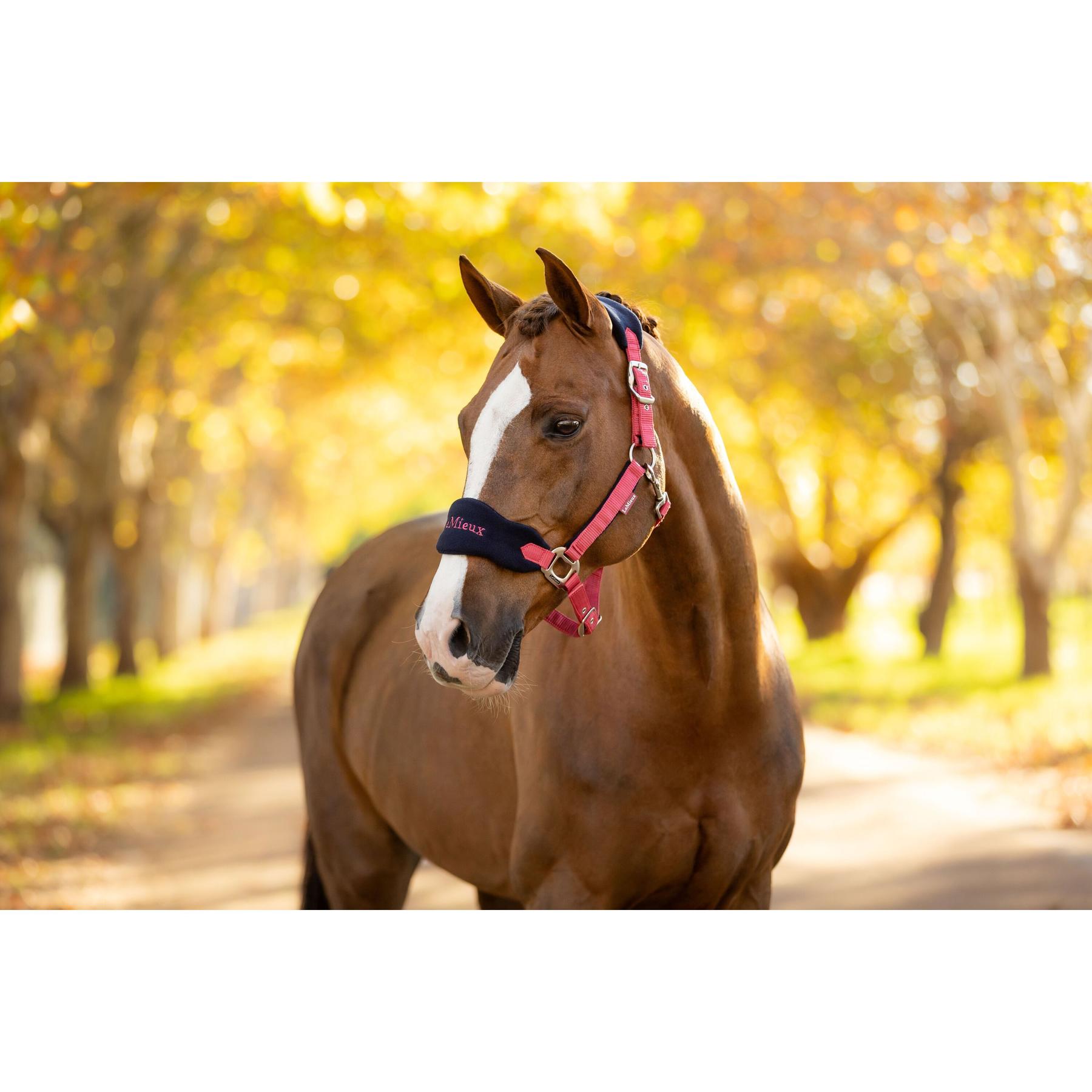 product/l/e/lemieux_it06994007_cranberry_2.jpg