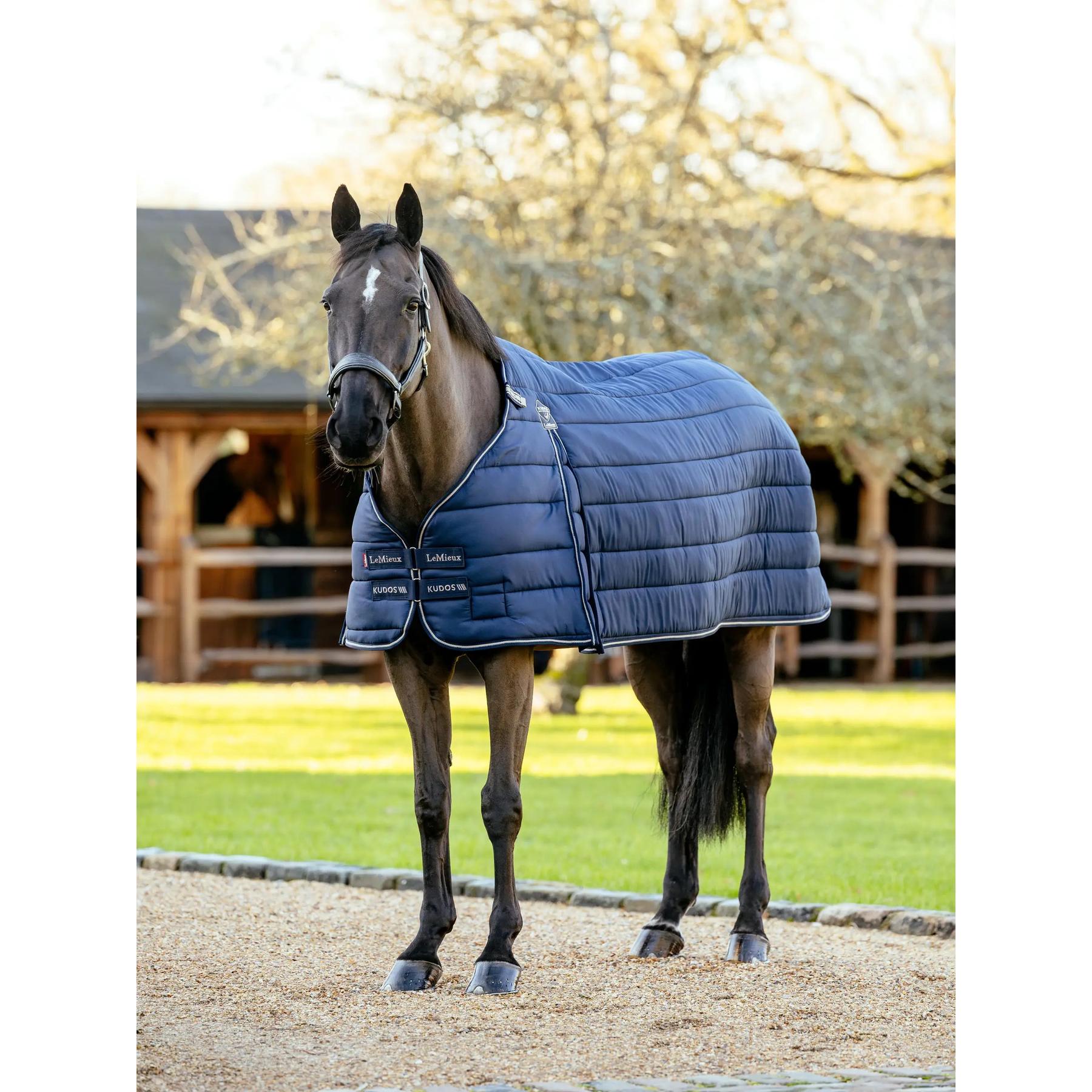 product/l/e/lemieux_it07049025_navy_2.jpg