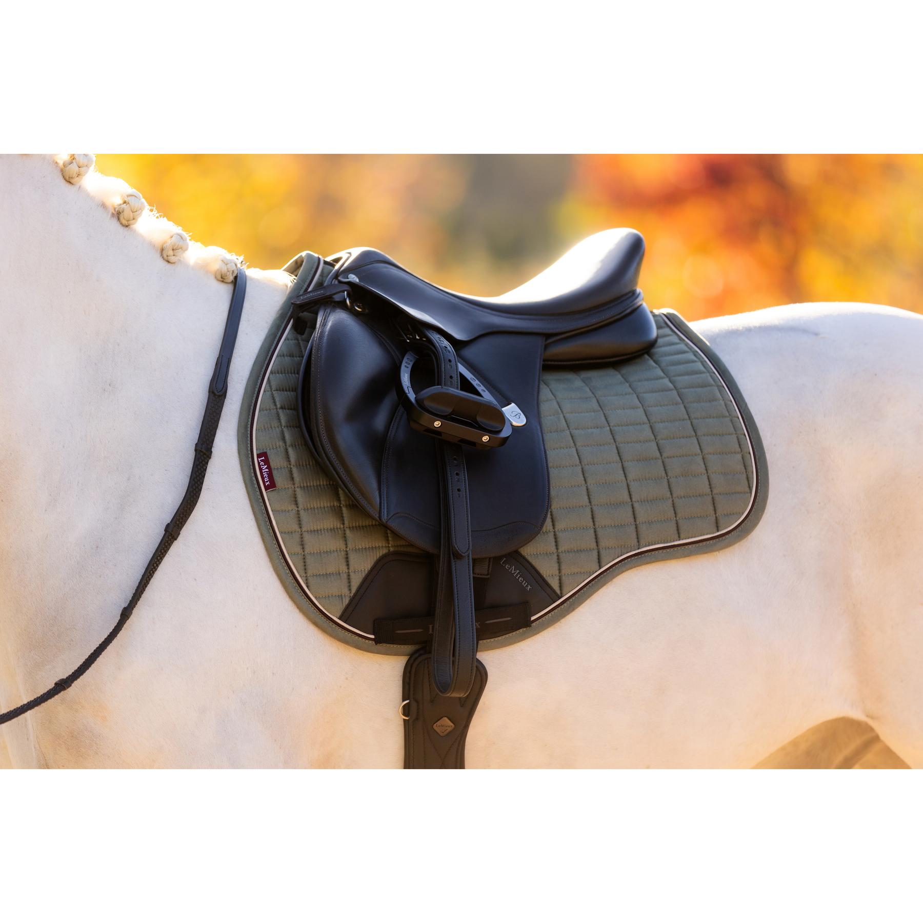 product/l/e/lemieux_it07102_010.jpg