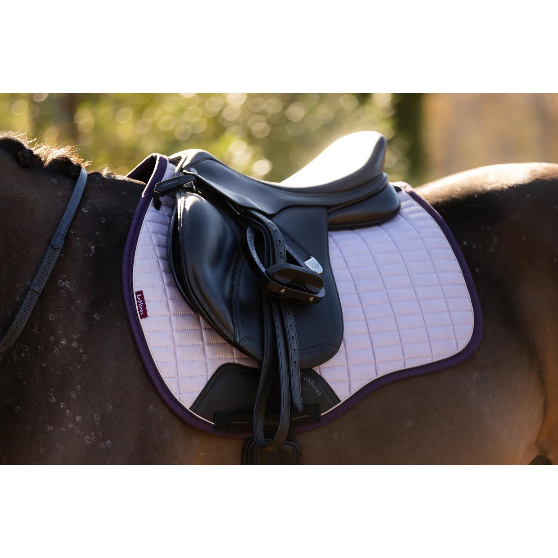 product/l/e/lemieux_it07104_003.jpg