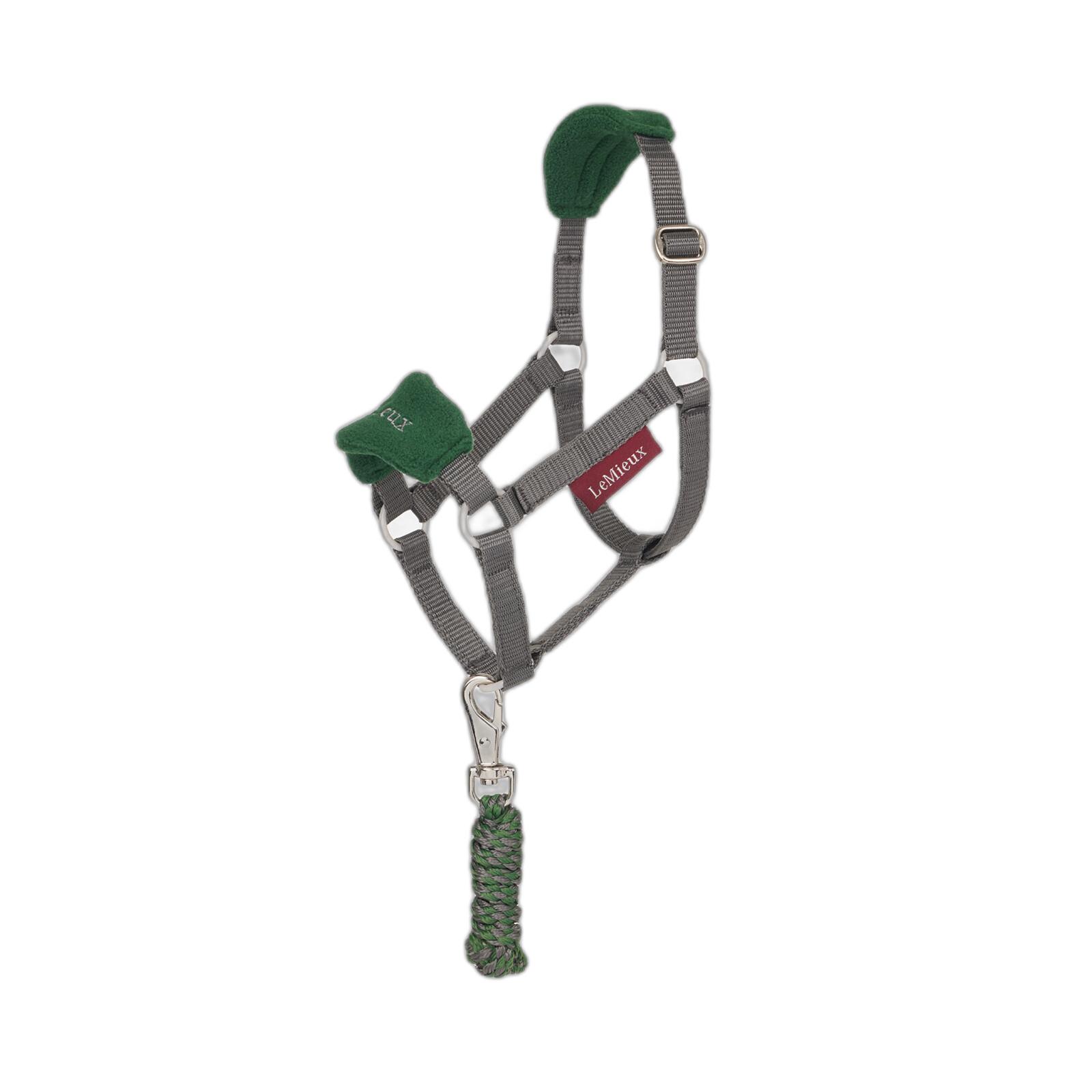 product/l/e/lemieux_it07123001_hunter-green_4.jpg