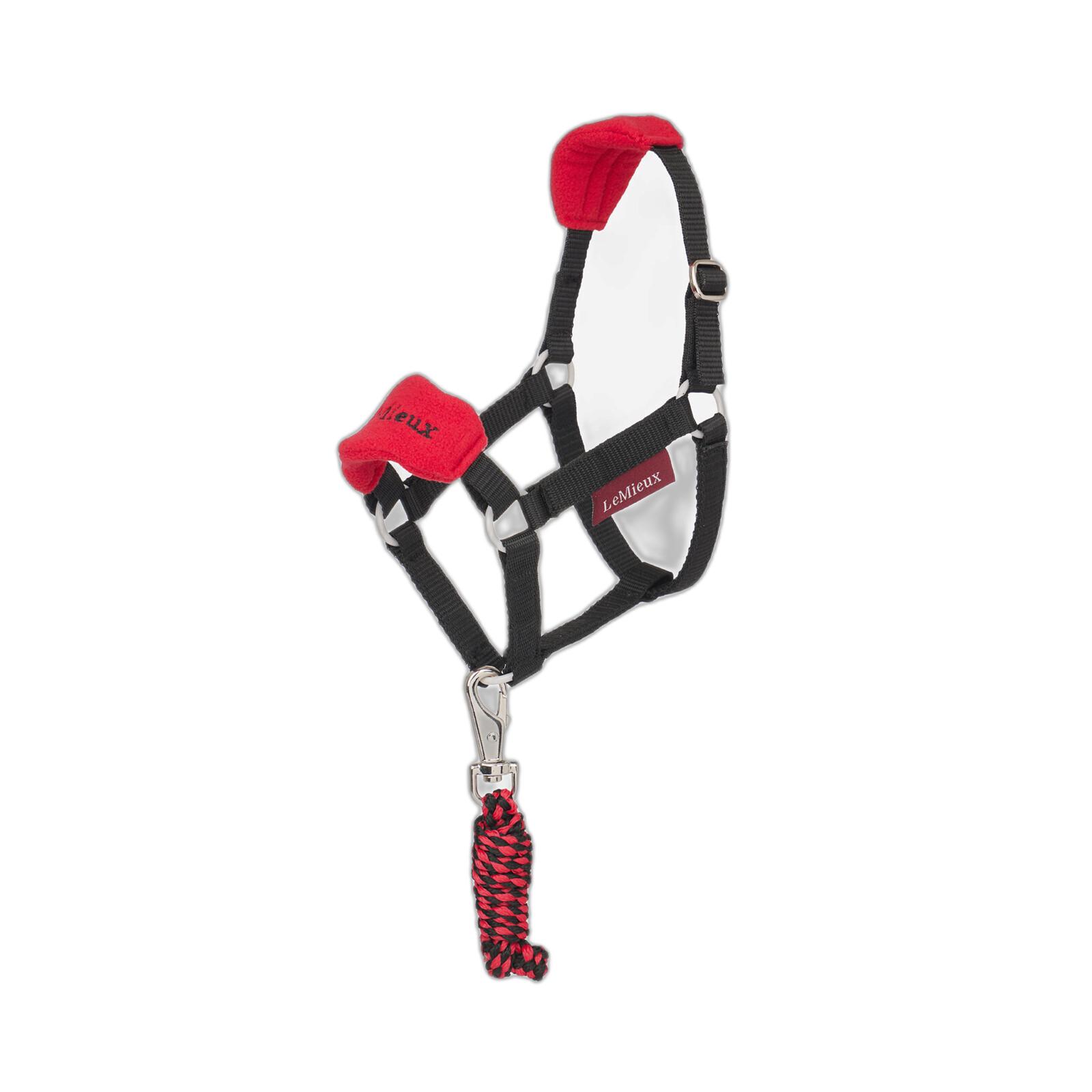 product/l/e/lemieux_it07124001_chilli_1.jpg