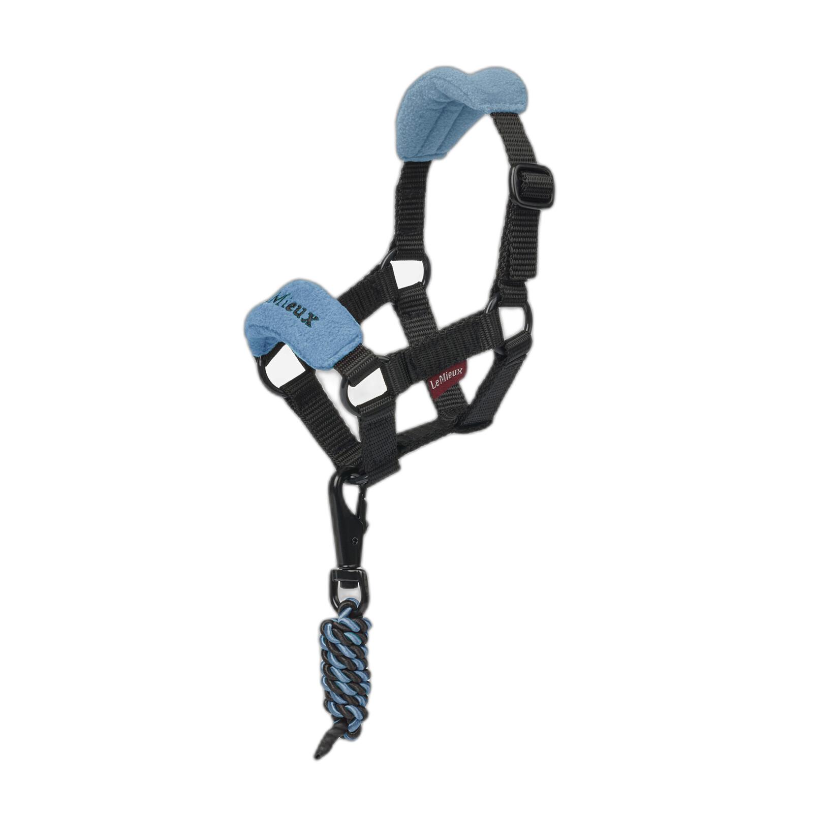 product/l/e/lemieux_it07756001_ice-blue_3.jpg