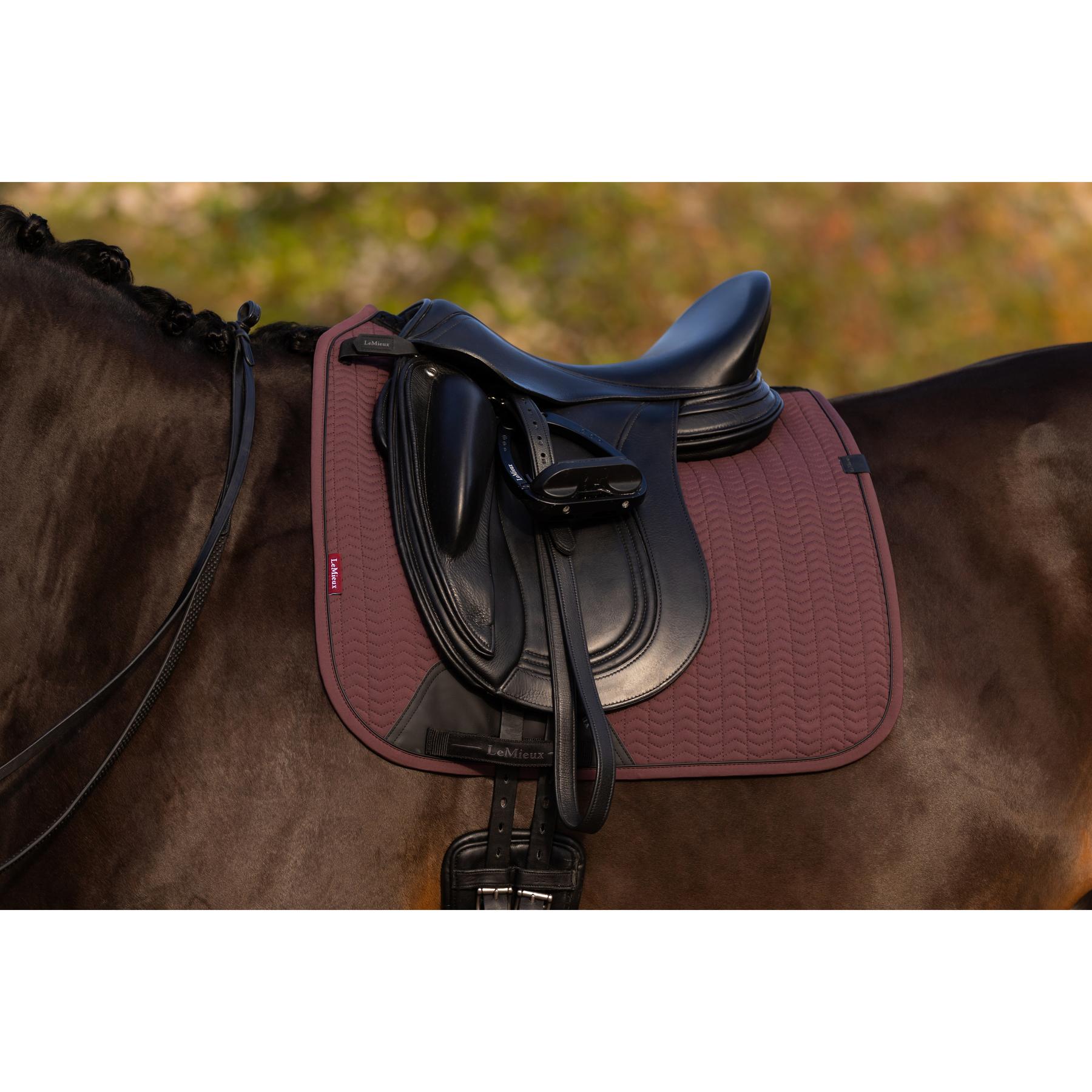 product/l/e/lemieux_it07763_004.jpg