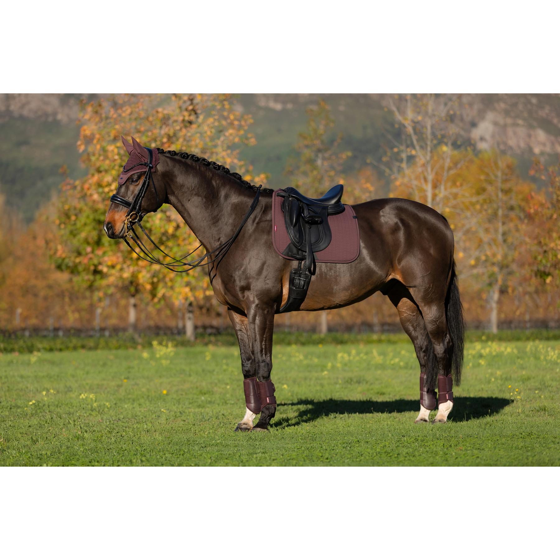 product/l/e/lemieux_it07763_011.jpg
