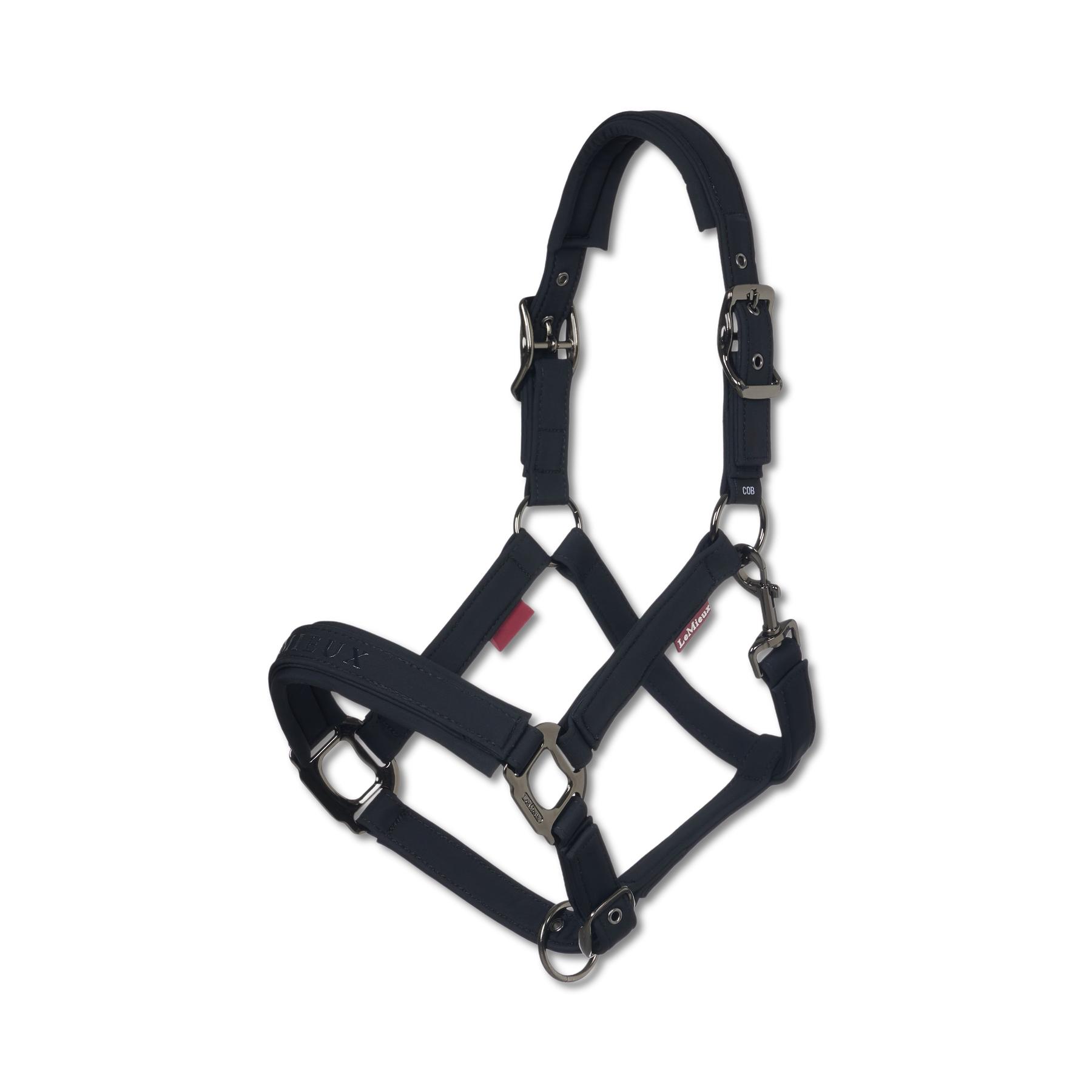 product/l/e/lemieux_it08019_001.jpg