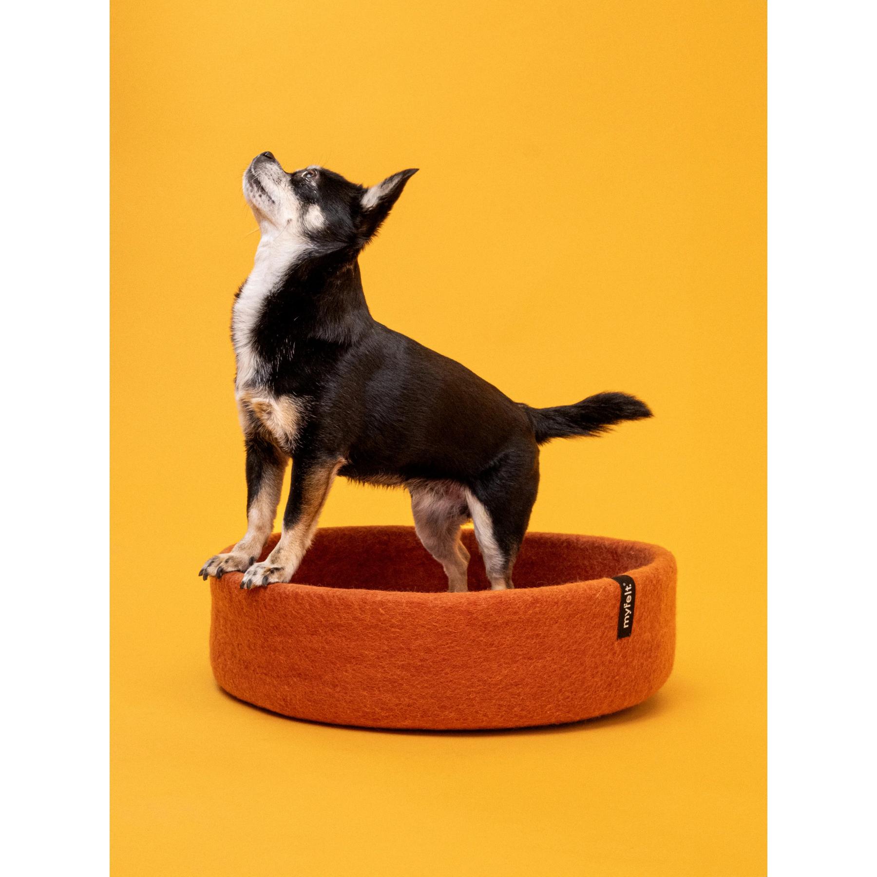 product/m/y/myfelt_p-db-029-045-040_rust-orange-red_5.jpg