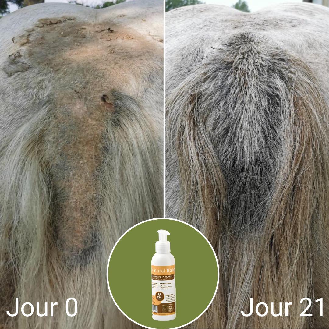 product/n/a/natural-innov_naturalbalm-250ml_21-nw032624.jpg