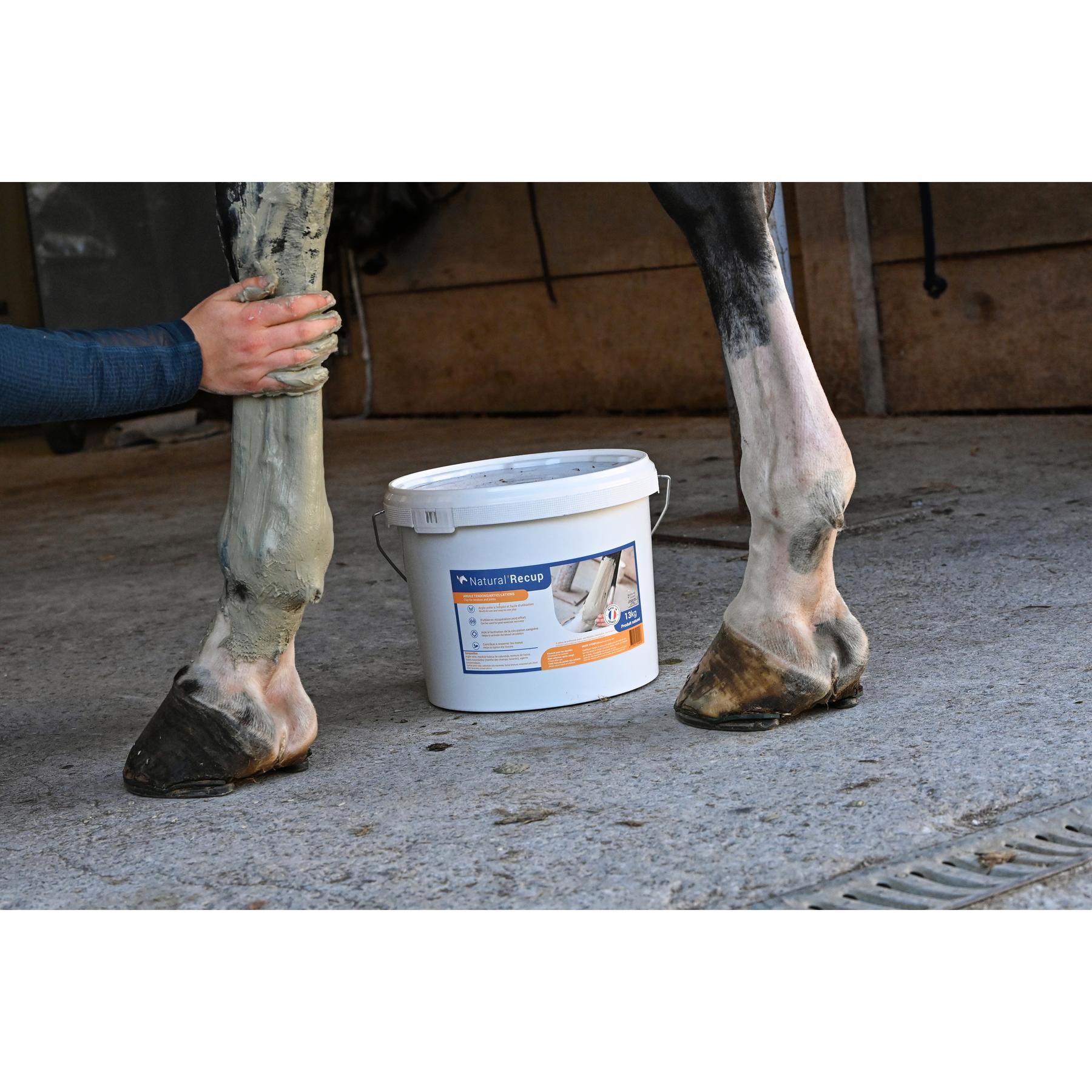 product/n/a/natural-innov_naturalrecup-13kg_3-nw032624.jpg