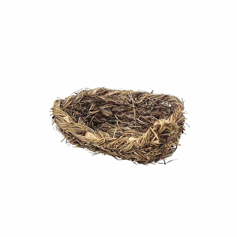 product/n/o/nobby-pet_25660_marron_1.jpg