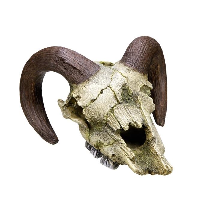 product/n/o/nobby-pet_28252.jpg