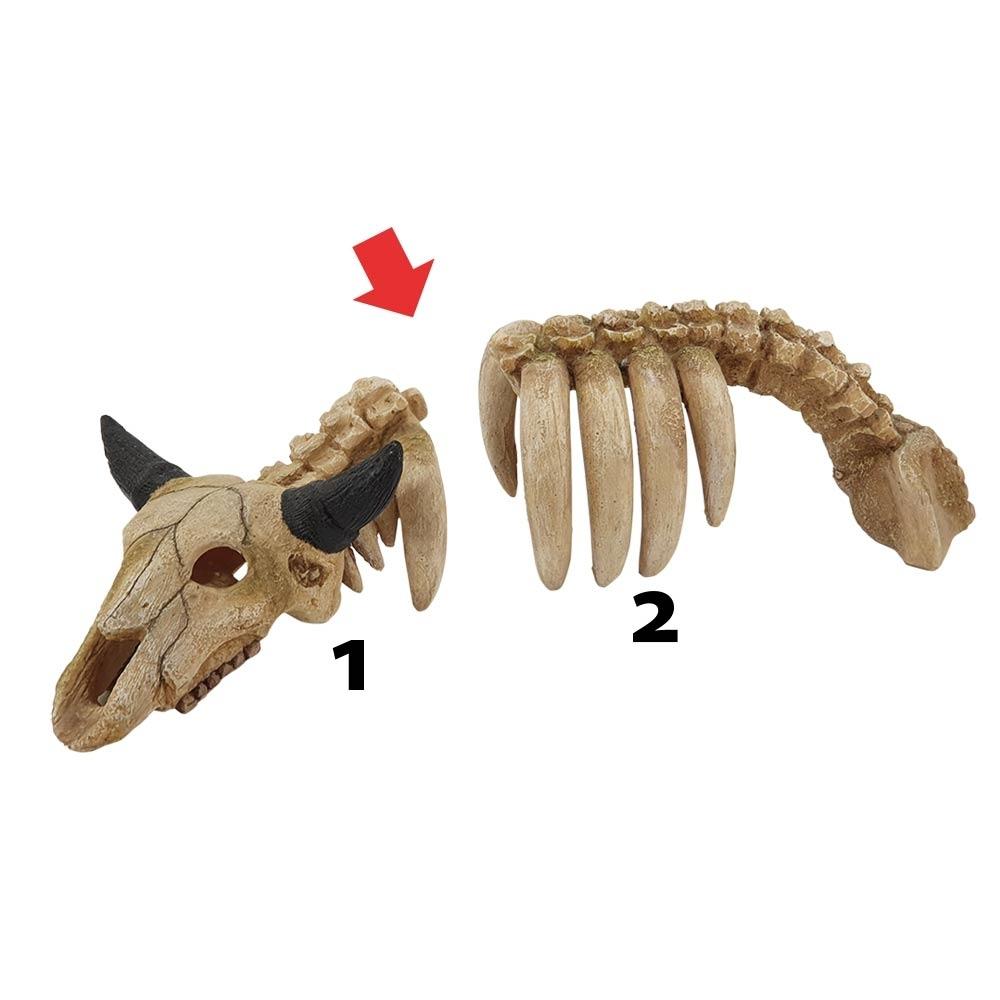 product/n/o/nobby-pet_28707_2.jpg
