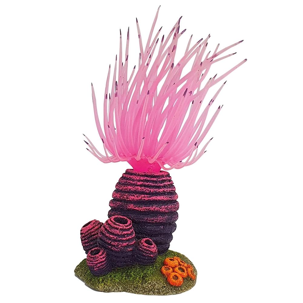 product/n/o/nobby-pet_28720.jpg