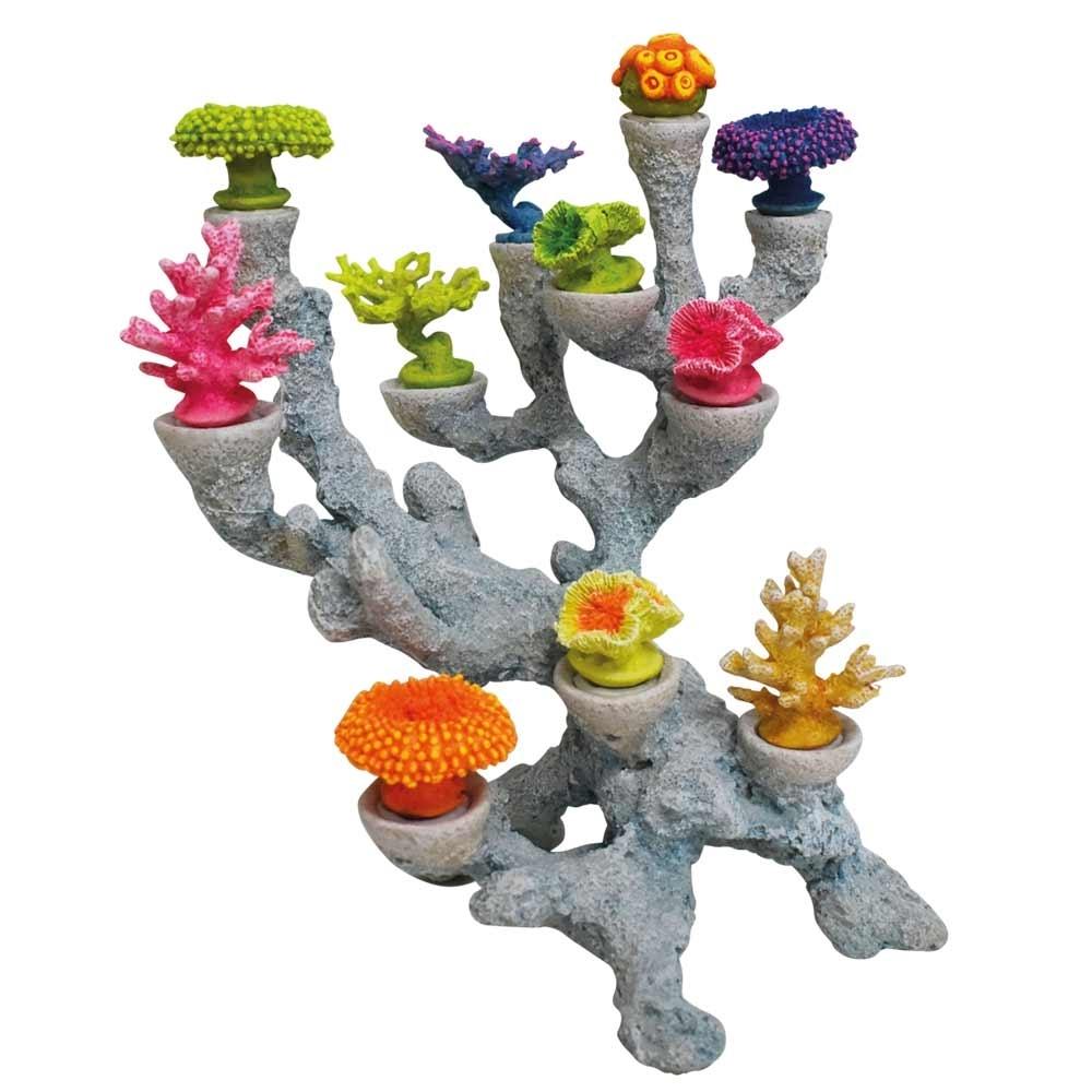 product/n/o/nobby-pet_28726_gris-vert-multicolore_1.jpg