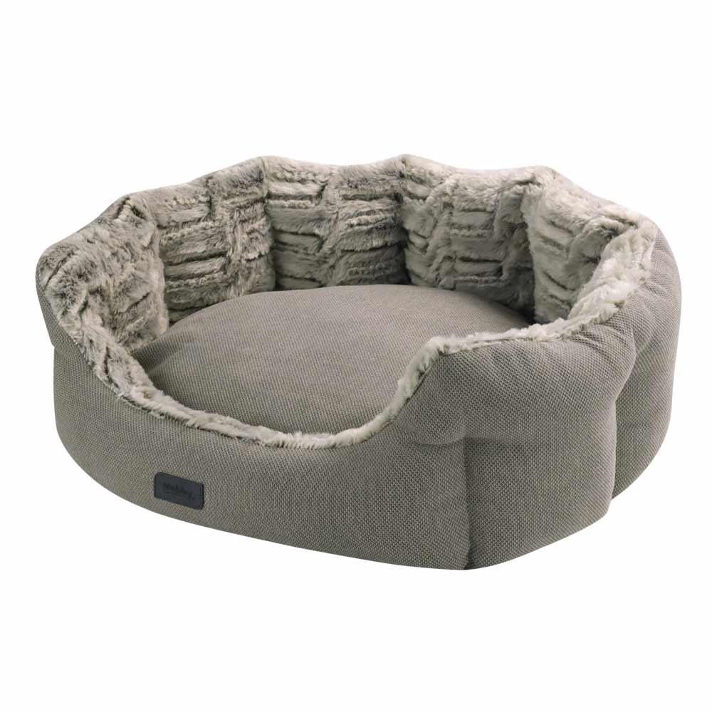 product/n/o/nobby-pet_52698_marron-clair_2.jpg