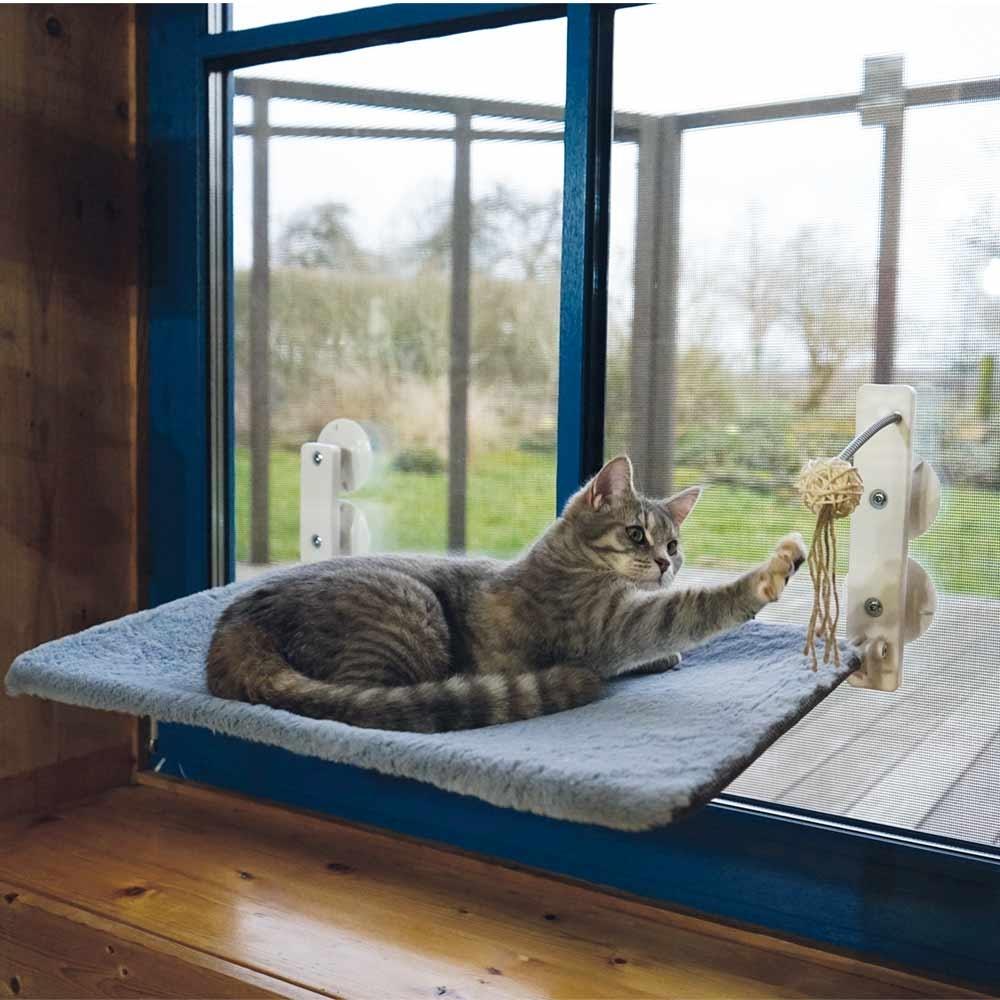 product/n/o/nobby-pet_53092_bleu_2.jpg