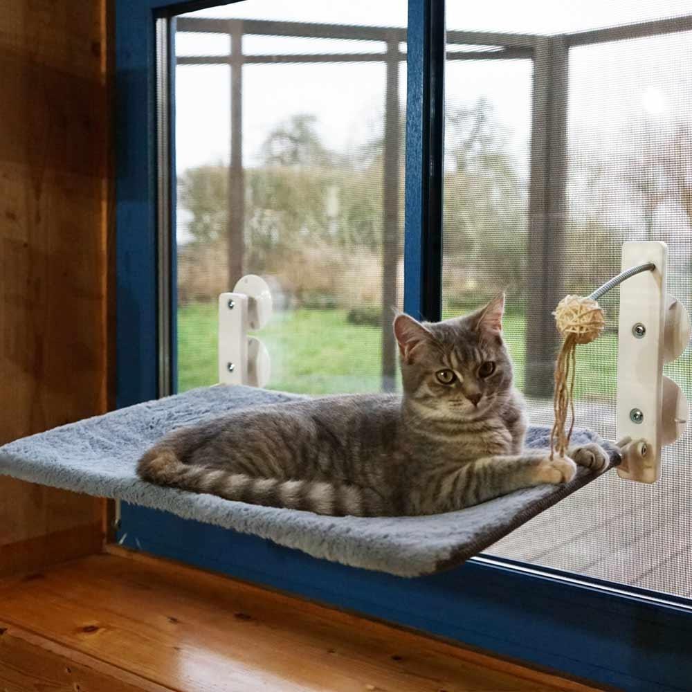 product/n/o/nobby-pet_53092_bleu_3.jpg