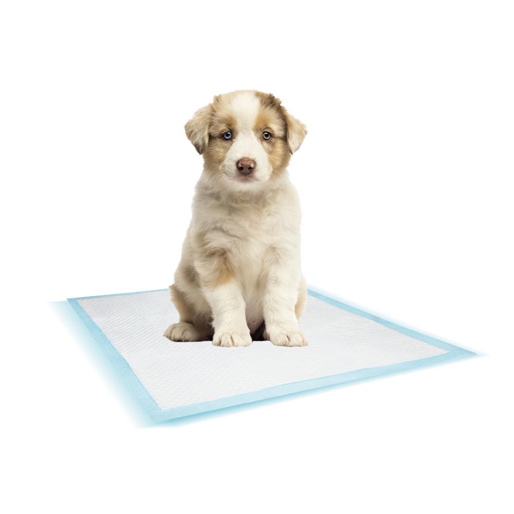 product/n/o/nobby-pet_57157_1.jpg