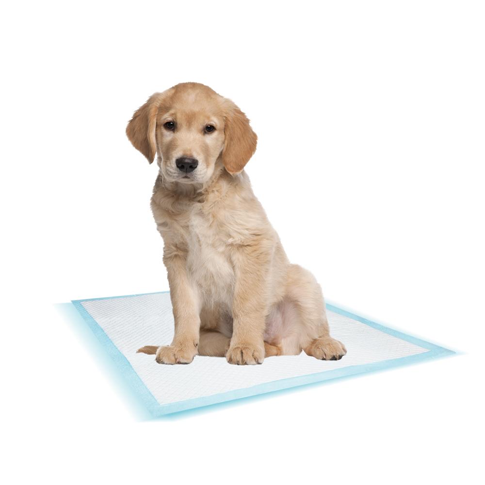 product/n/o/nobby-pet_57158_1.jpg