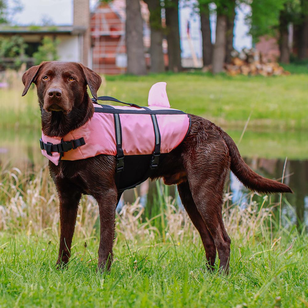 product/n/o/nobby-pet_61036_1.jpg