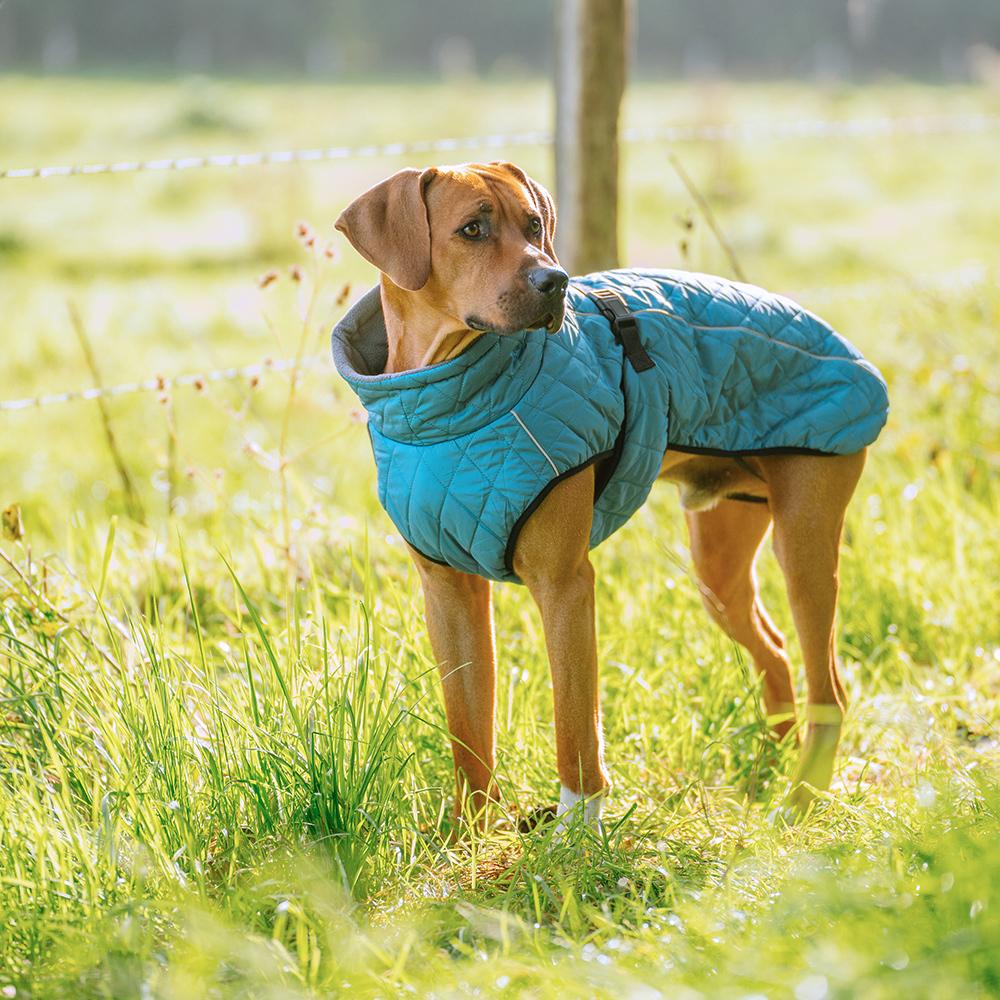 product/n/o/nobby-pet_64983_1.jpg