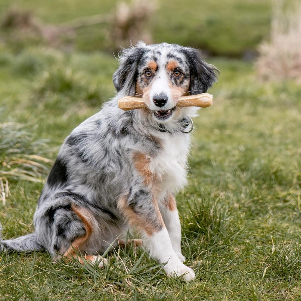 product/n/o/nobby-pet_68117_1.jpg