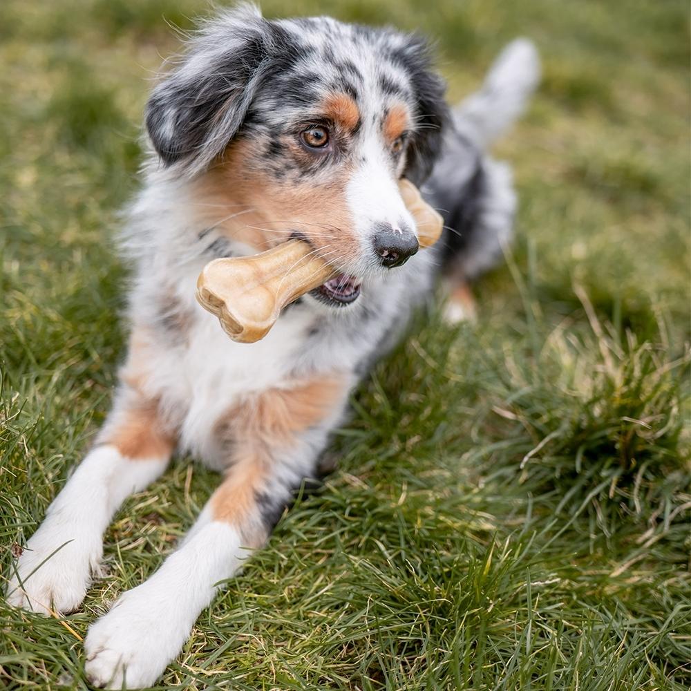 product/n/o/nobby-pet_68117_2.jpg