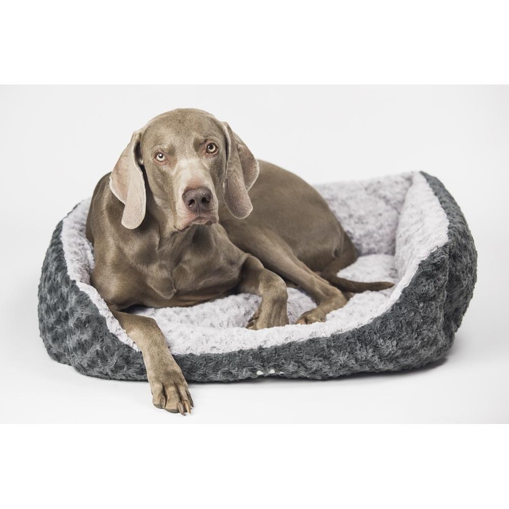 product/n/o/nobby-pet_71184.jpg