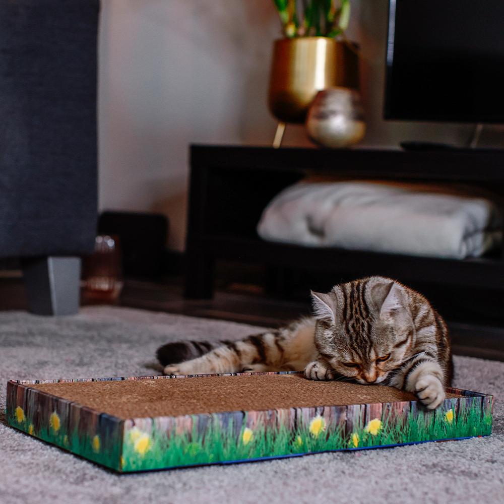 product/n/o/nobby-pet_71991_1.jpg