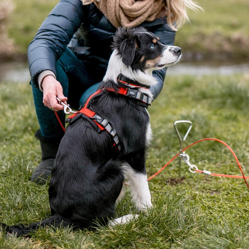 product/n/o/nobby-pet_73061_3.jpg