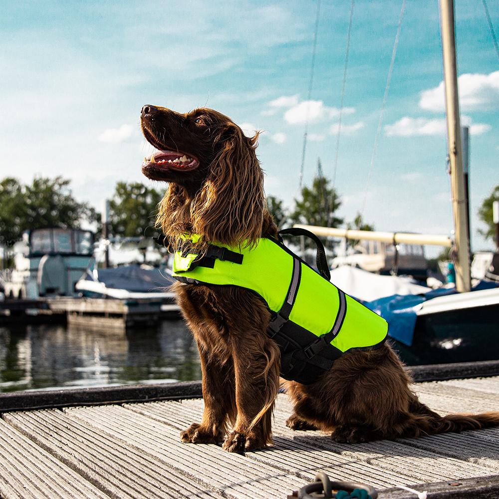 product/n/o/nobby-pet_77575_1.jpg
