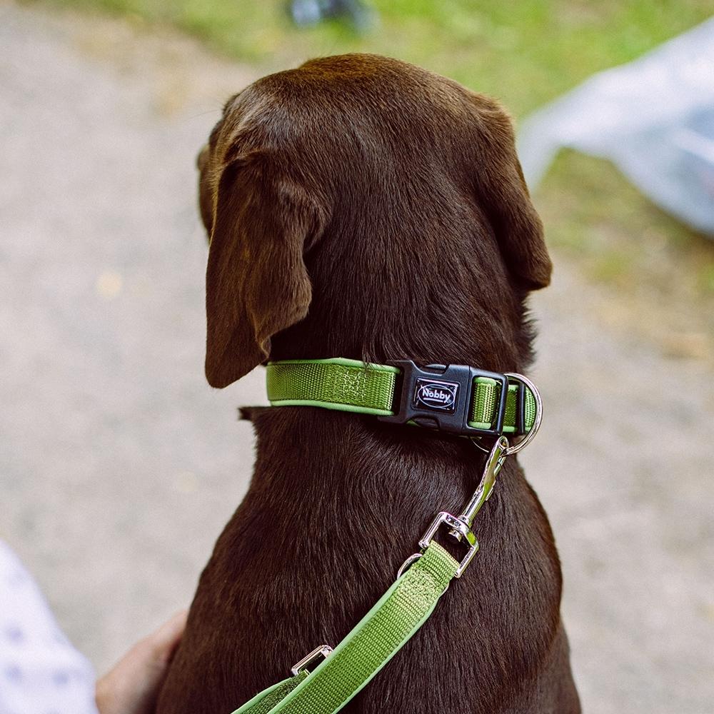 product/n/o/nobby-pet_80524-50.jpg