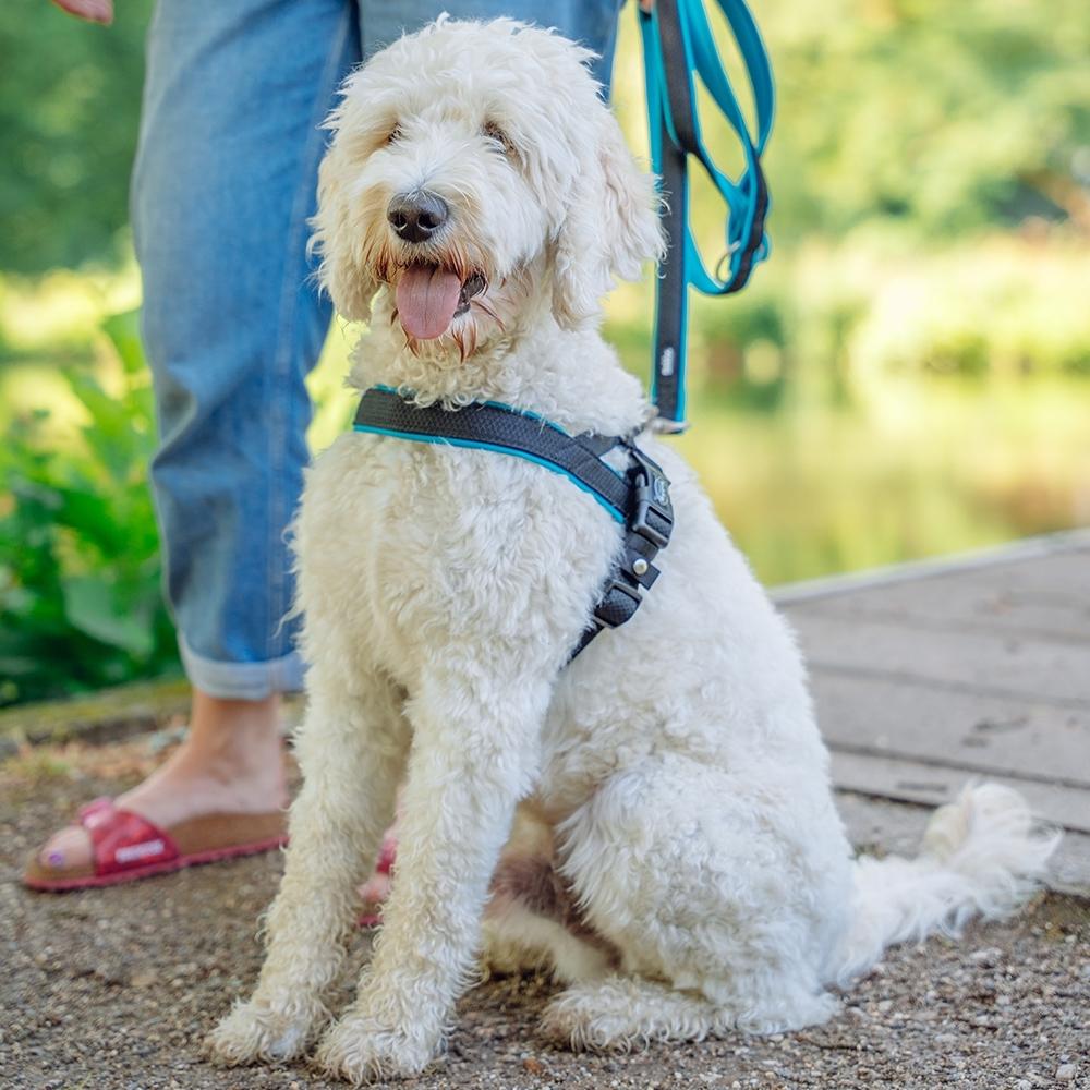 product/n/o/nobby-pet_80551-34_2.jpg