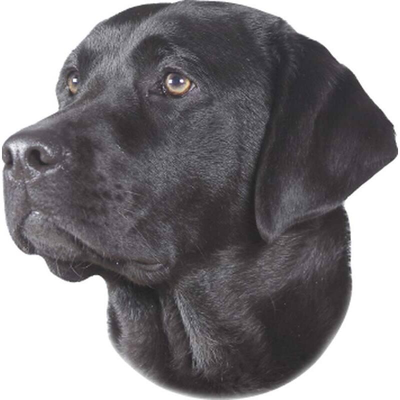 product/n/o/nobby-pet_93266.jpg