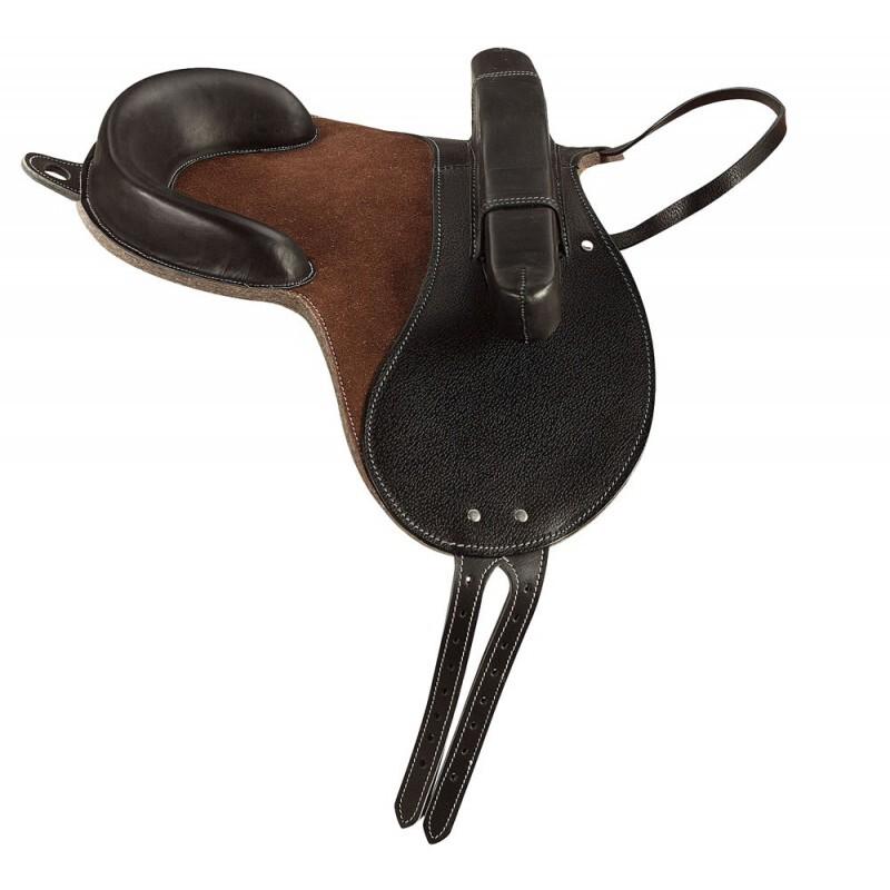 product/n/o/norton-club_101040002_1.jpg