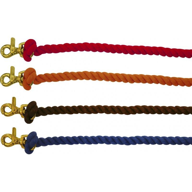 product/n/o/norton-club_305521002.jpg