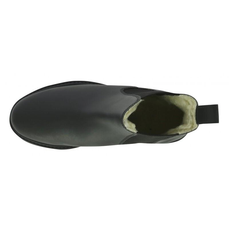 product/n/o/norton_914027234_4.jpg